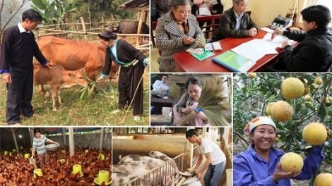 Giảm nghèo bền vững, trao "cần câu" hay đưa "con cá"? (17/10/2018)