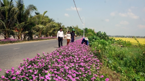 Hiệu quả thiết thực của phong trào xây dựng đời sống văn hóa khu dân cư (2/10/2018)