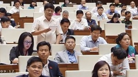 Các đại biểu Quốc hội ghi nhận 5 đột phá đổi mới của Chính phủ trong điều hành cùng những hạn chế cần khắc phục (Thời sự trưa 26/10/2018)