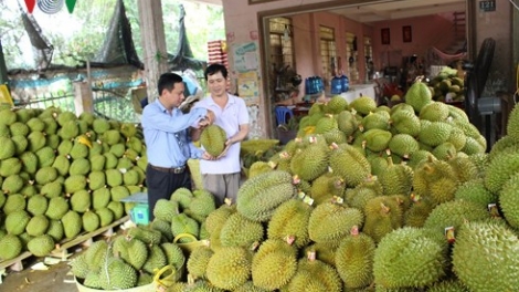 Nền kinh tế nước ta đang tăng trưởng khá đồng đều trên các lĩnh vực theo hướng phát triển chiều sâu và bền vững (2/10/2018)