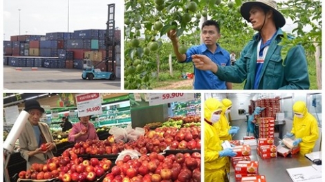 Theo công bố của Ngân hàng Thế giới, nền kinh tế Việt Nam được dự báo sẽ tăng trưởng 6,8% trong năm nay (Thời sự chiều 4/10/2018)