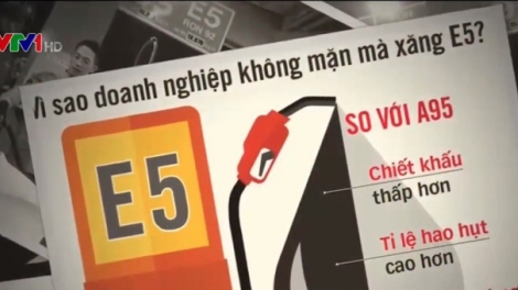 Điều gì đang cản trở sự phát triển nhiên liệu sinh học tại Việt Nam - Những nút thắt cầu tháo gỡ (14/9/2018)