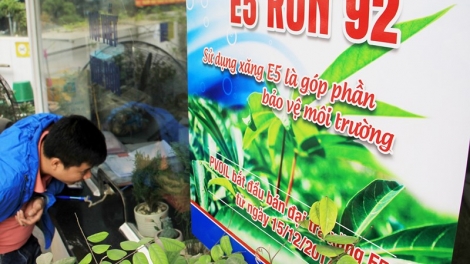 Xăng E5 - những hiệu quả đạt được khi truyền thông vào cuộc (16/9/2018)