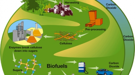 Để đảm bảo xăng sinh học: Phải đảm bảo nguồn nguyên liệu ethanol (E100) bền vững (19/9/2018)
