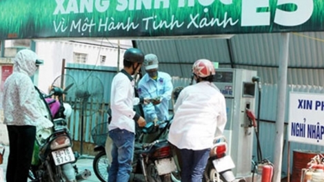 Sử dụng xăng sinh học: Lợi ích cho người dùng (25/8/2018)