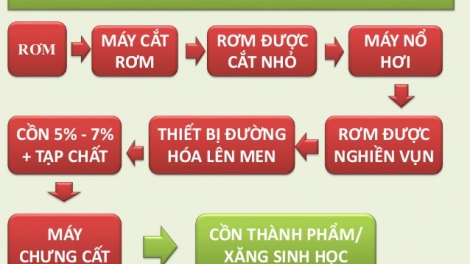 Công nghệ sản xuất và thị trường nhiên liệu sinh học (23/8/2018)