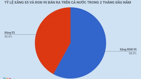 Nâng tỷ trọng E5: Kinh nghiệm từ các doanh nghiệp đầu mối (15/9/2018)