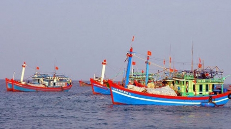 Ngăn chặn các hoạt động môi giới, đầu tư cho tàu cá ngư dân khai thác hải sản trái phép ở vùng biển nước ngoài (13/11/2018)