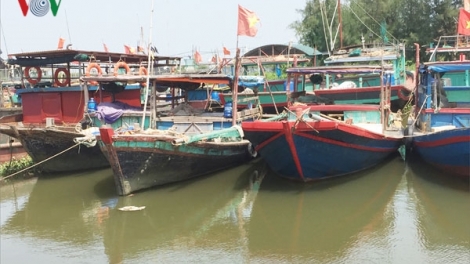 Chính phủ yêu cầu, các Bộ ngành, địa phương không chủ quan trong ứng phó với cơn bão số 9 đang hình thành trên biển, các biện pháp phải đảm bảo an toàn tính mạng người dân ở mức cao nhất (Thời sự trưa 22/11/2018)