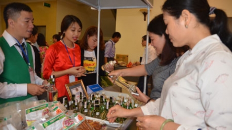 Tìm đối tượng khách hàng cho dự án hợp tác xã rượu chuối Tân Dân (4/11/2018)