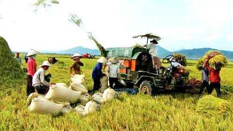 Phải coi nông nghiệp là lợi thế, nông dân là nội lực của đất nước (27/11/2017)