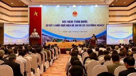 5 năm tái cơ cấu nông nghiệp, nông sản Việt Nam hiện đã có mặt tại thị trường 180 quốc gia và vùng lãnh thổ; kim ngạch xuất khẩu tăng nhanh bình quân đạt 31,5 tỉ đô la Mỹ/năm (Thời sự trưa 10/11/2018)