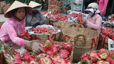 Trái cây và câu chuyện tái cơ cấu (16/11/2018)