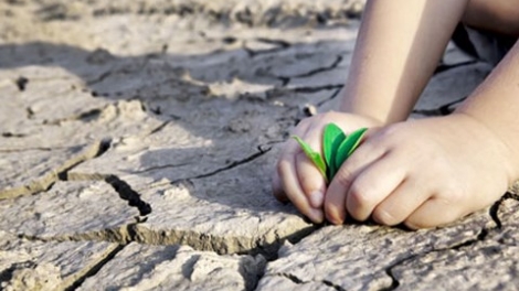 Loạt bài: “Nông nghiệp ứng phó biến đổi khí hậu - Khởi nguồn từ gieo mầm nhận thức”. Bài 3: Thuận theo tự nhiên (26/12/2018)