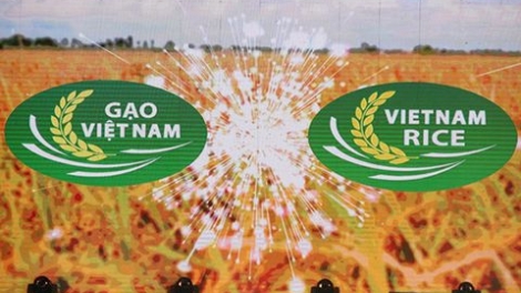 Xây dựng thương hiệu gạo Việt nhìn từ Festival lúa gạo năm 2018 (20/12/2018)