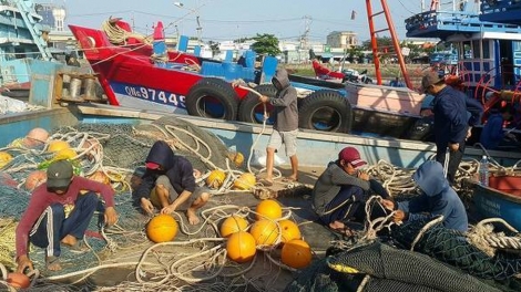 Phú Yên: Hệ lụy từ thiếu lao động nghề cá (17/12/2018)
