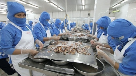 Ngành thủy sản: Nhiều thách thức cần giải quyết (28/12/2018)