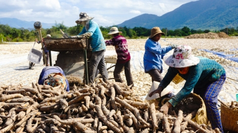 Những vấn đề đặt ra trong thực hiện chương trình giảm nghèo Quốc gia (7/12/2018)