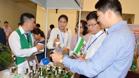Chiến lược mới cho dự án Khởi nghiệp rượu chuối Tân Dân, tỉnh Bắc Kạn (9/12/2018)