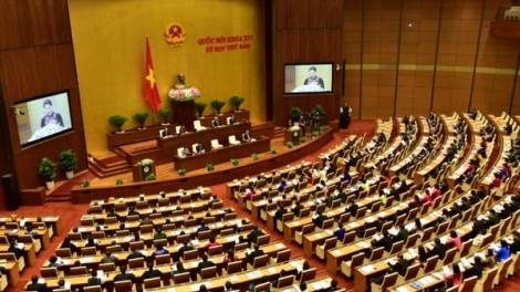 Dấu ấn của Quốc hội một năm qua (21/12/2018)