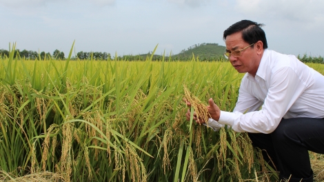 Cựu chiến binh - doanh nhân Trần Mạnh Báo: Người "truyền lửa" (4/12/2018)