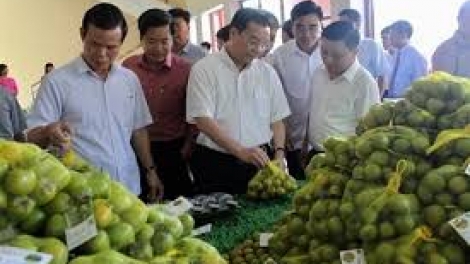 Liên kết, động lực cho nông nghiệp bứt phá.(30/12/2018)