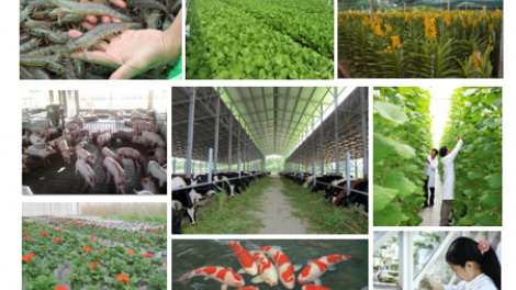 Nông nghiệp không chỉ là trụ đỡ của nền kinh tế (28/12/2018)
