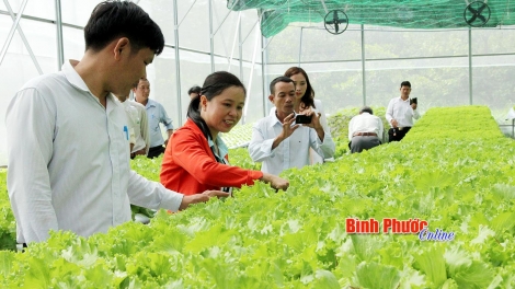 Bình Phước: Ưu tiên phát triển nông nghiệp công nghệ cao (12/02/2018)