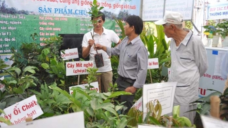 Cần có giải pháp chủ động nguồn giống cây trồng đạt chất lượng (07/02/2018)