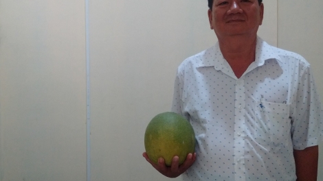 Liên minh để làm lớn tại hợp tác xã bưởi da xanh Giồng Trôm, tỉnh Bến Tre (20/2/2018)