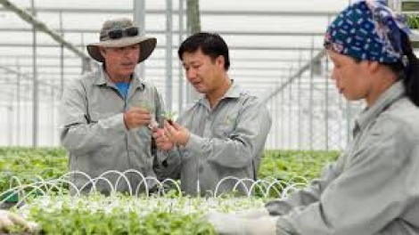 Sản xuất hàng hoá cần cái bắt tay của nông dân và doanh nghiệp (20/2/2018)