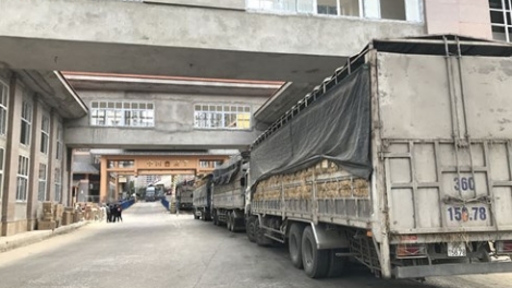 Ùn tắc hàng nghìn xe hoa quả và những nút thắt cần tháo gỡ. (07/02/2018)