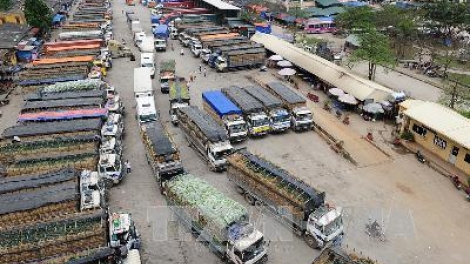Tái diễn tình trạng nông sản ùn tắc tại cửa khẩu Tân Thanh, tỉnh Lạng Sơn: Thủ tướng Chính phủ ra công điện khẩn, yêu cầu các đơn vị địa phương liên quan khẩn trương giải tỏa, thông quan hàng hóa xuất khẩu (Thời sự trưa 9/2/2018)