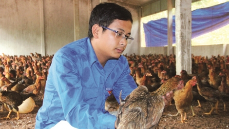 Nghệ An: Hàng nghìn thanh niên bỏ phố về quê làm giầu (25/3/2018)