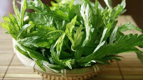 Phòng và hỗ trợ điều trị liệt mặt méo miệng bằng phương pháp cứu ngải (3/3/2018)