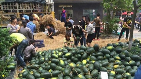 Để không còn những cuộc “giải cứu” nông sản  (28/3/2018)