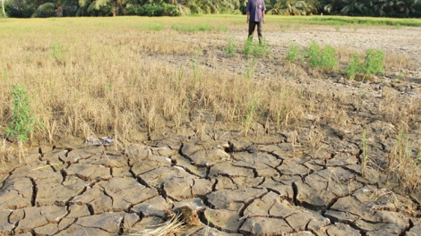 Tiền Giang, Bến Tre: Chủ động ứng phó với hạn mặn tấn công (02/3/2018)