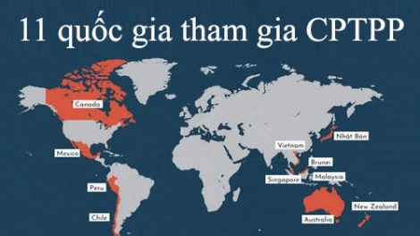 Những vấn đề Việt Nam cần lưu ý để đạt được hiệu quả cao nhất khi tham gia Hiệp định Đối tác toàn diện và Tiến bộ xuyên Thái Bình Dương. (07/3/2018)