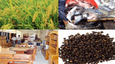Xuất khẩu nông sản Việt Nam: Nhiều điểm nghẽn cần tháo gỡ (11/3/2018)
