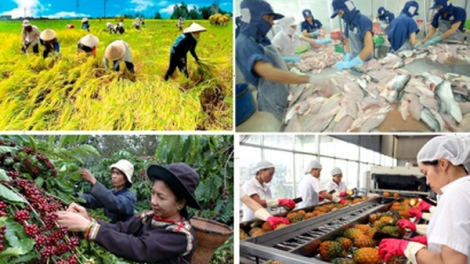 Ngành nông nghiệp tăng trưởng bứt phá trong quý I nhưng không dễ dàng trong những quý tiếp theo (5/4/2018)