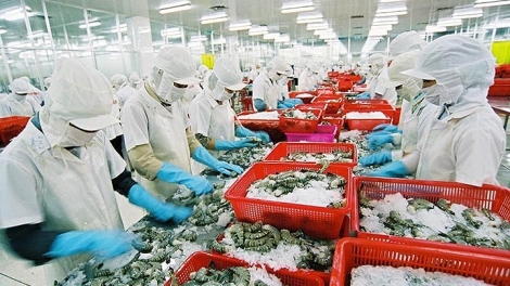 Từ thẻ vàng EC nhìn lại ngành thủy sản (20/4/2018)