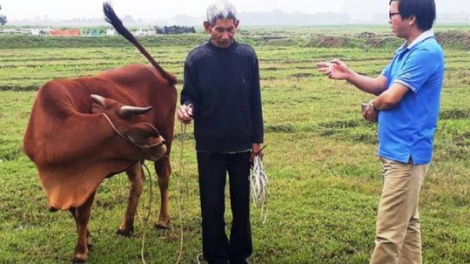 Thanh Hóa: Người nông dân phải đóng phí cỏ mỗi năm mới được thả trâu bò ngoài đồng, gây bức xúc dư luận và kìm hãm sự phát triển của khu vực nông thôn (20/4/2018)