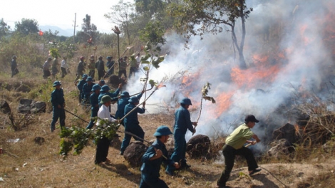 Tích cực phòng chống cháy rừng (10/4/2018)