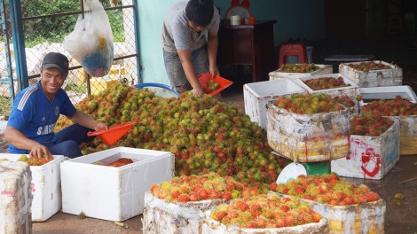 Nông thôn đổi mới, Nông dân đổi mới (30/4/2018)