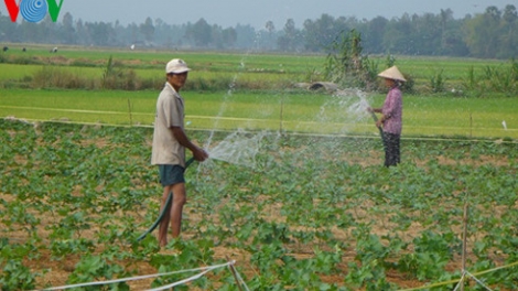 Vùng đầu nguồn lũ xuống giống hoa màu chống khô hạn (8/4/2018)