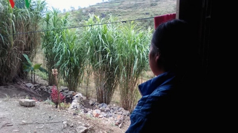 Để phụ nữ không bị lừa bán qua biên giới (25/4/2018)