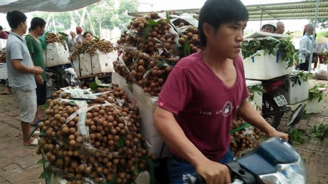Vì sao việc xây dựng thương hiệu cho nông sản Việt lại khó khăn? (14/4/2018)