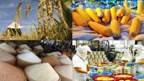 Xuất khẩu nông sản và điểm nghẽn cần tháo gỡ (29/4/2018)