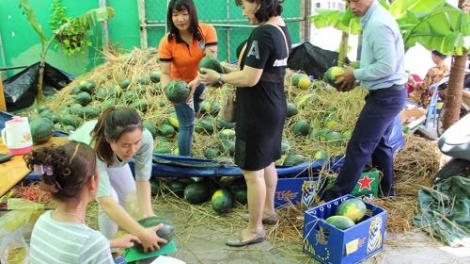Tìm đầu ra cho thị trường nông sản – Bài toán khó (7/5/2018)