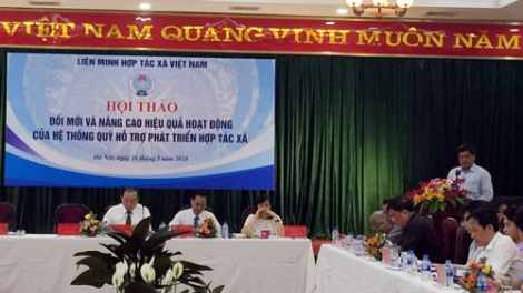 Nâng cao hiệu quả hoạt động của hệ thống Quỹ hỗ trợ phát triển Hợp tác xã (20/5/2018)